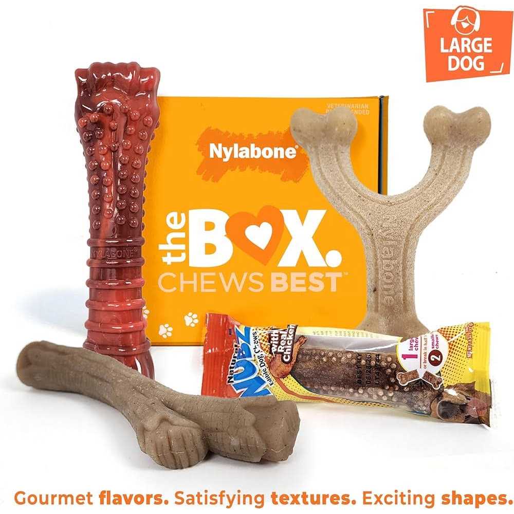 Chew Toy & Treat Gift Box O265
