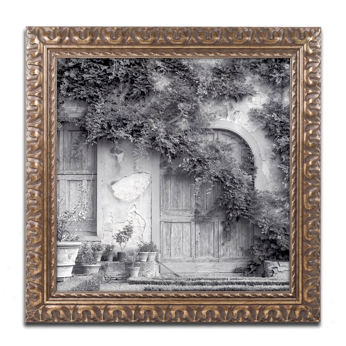Framed Art E68281