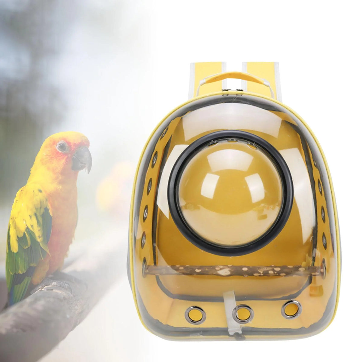 Green Yellow Transparent Bird Carrier with Perch P591439