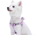 Classic Solid Nylon Step-In Dog Harness Y3230