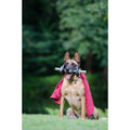Dog Treats Training Pouch with Training Clicker C7044