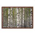 Framed Photograph Print Y30900