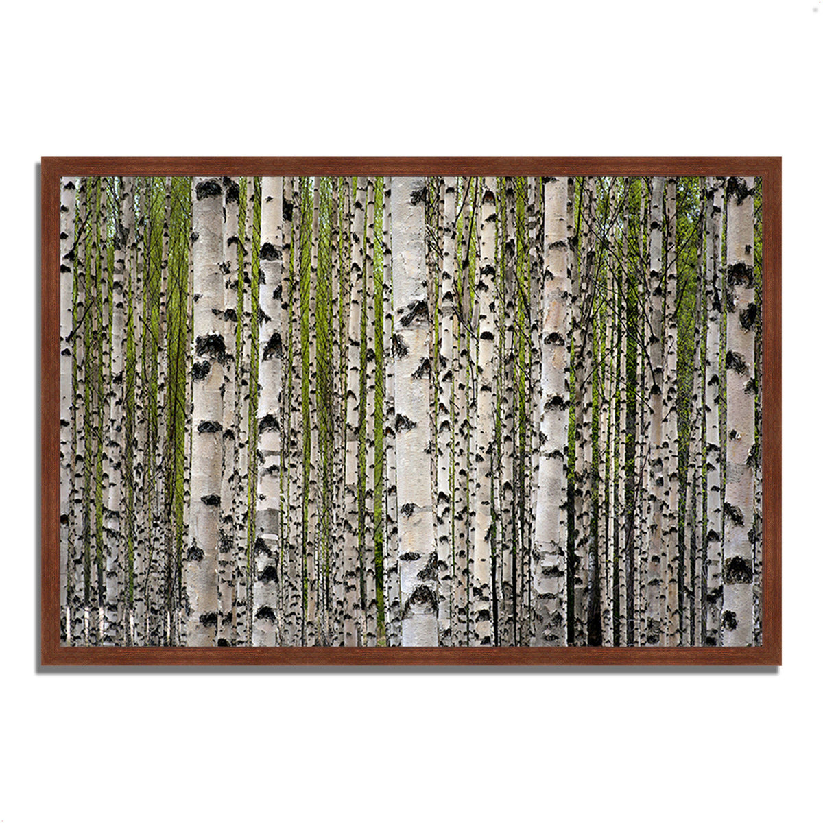 Framed Photograph Print Y30900