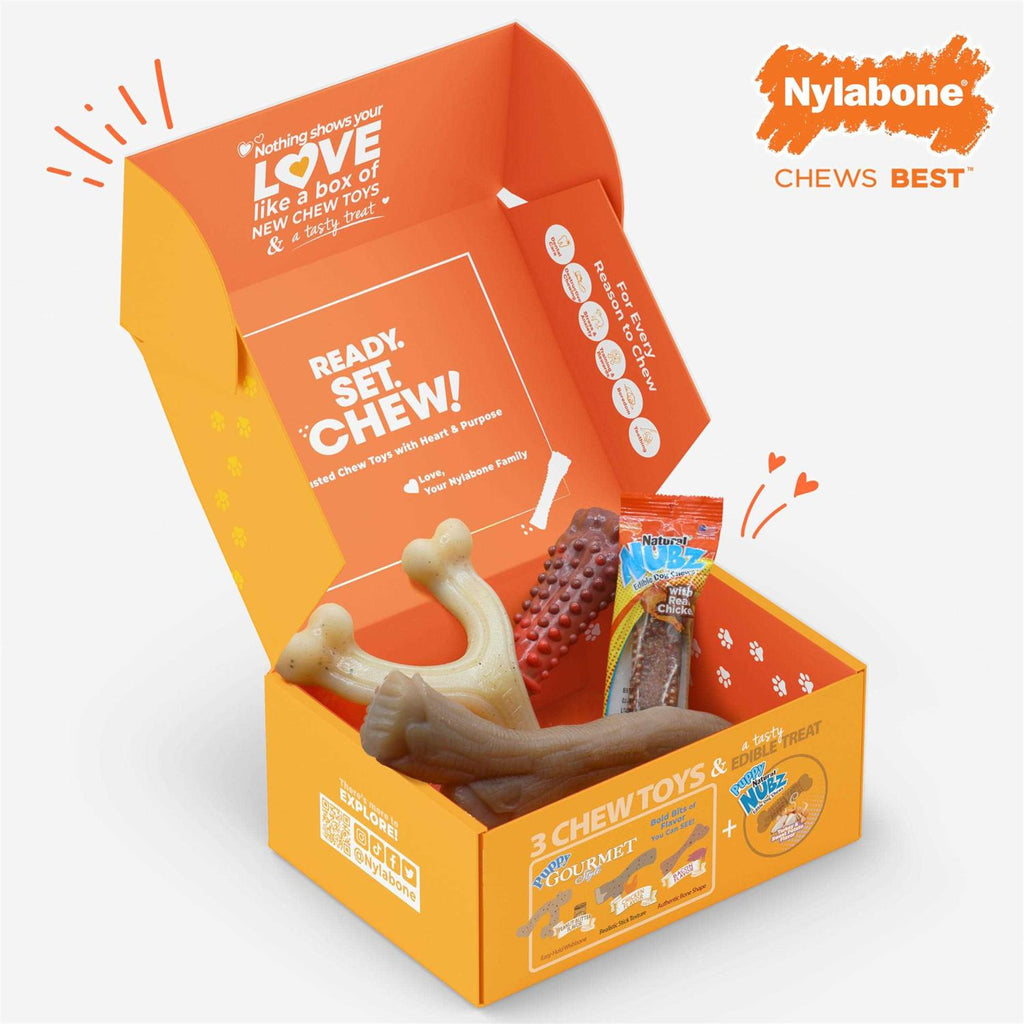 Chew Toy & Treat Gift Box O265
