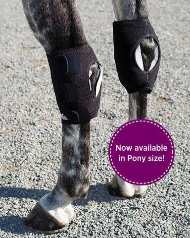 Hock Wraps - Pair C6958