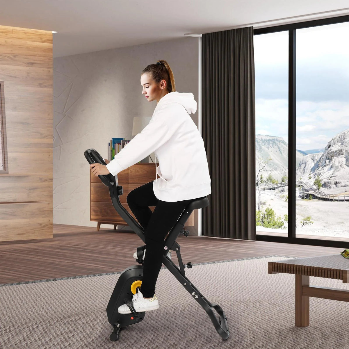 Adjustable Folding Stationary Exercise Bike P493351