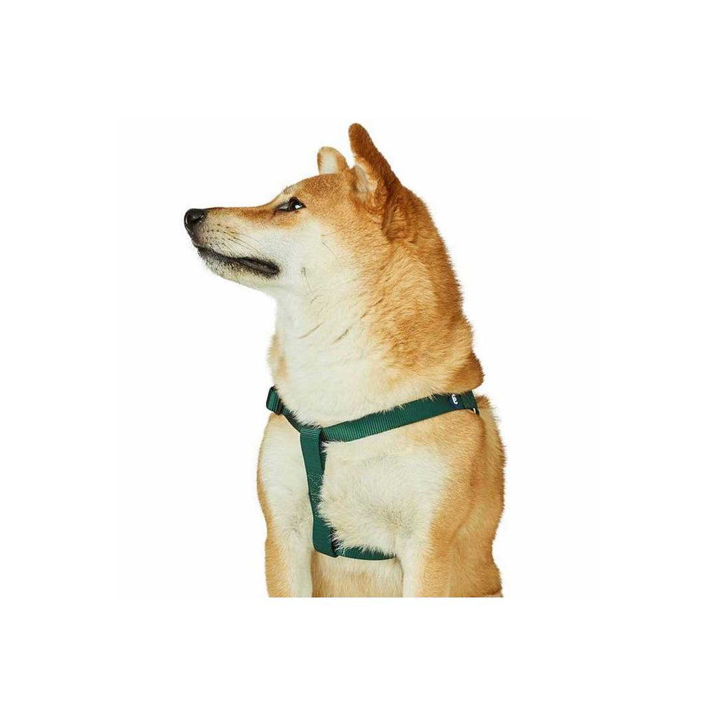Classic Solid Nylon Step-In Dog Harness Y3230