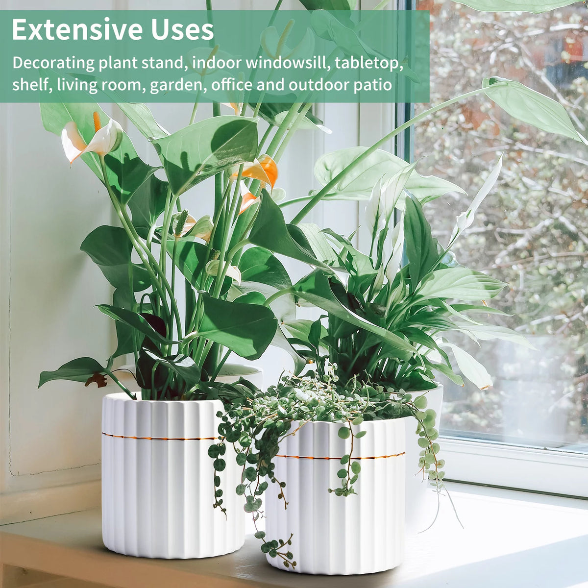 2 Pack White Ceramic Plant Pots with Drainage Hole T408