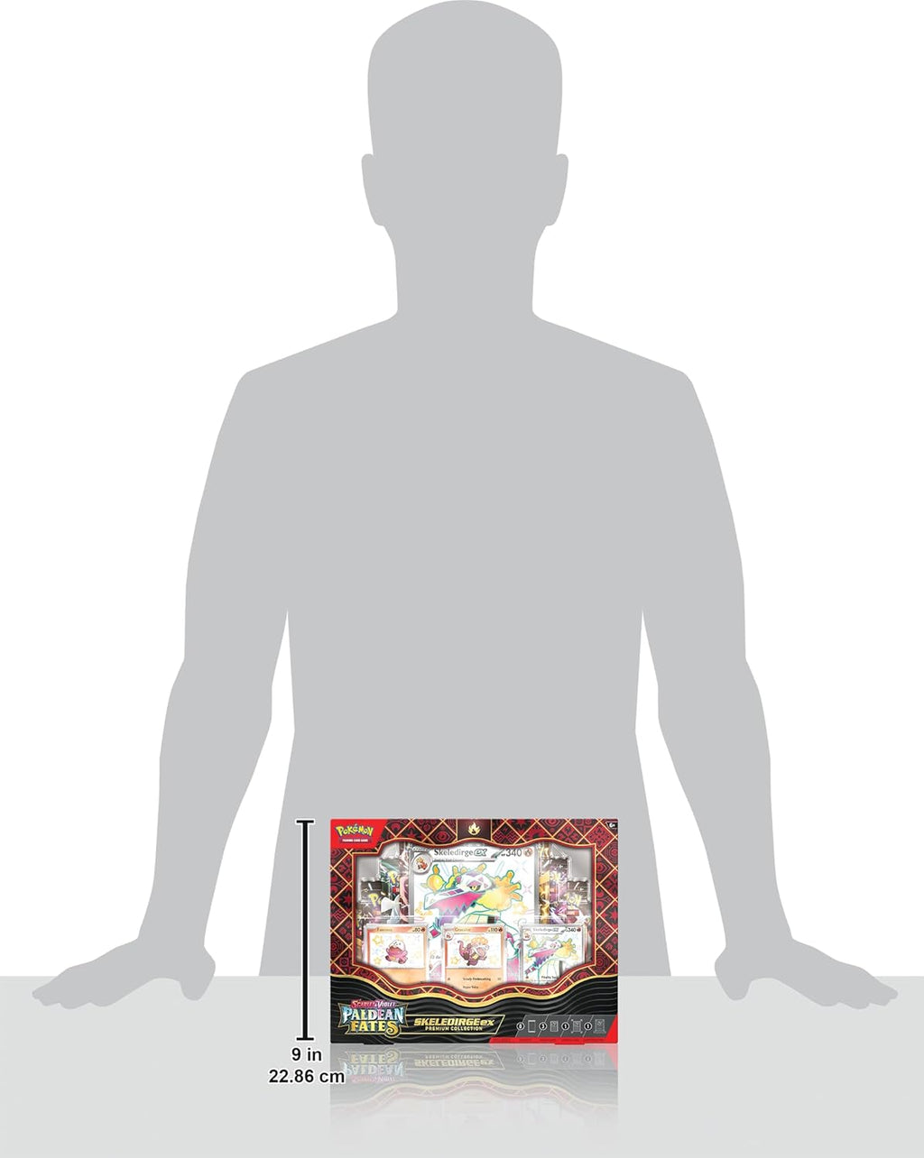 Pokémon TCG Premium Collection W269