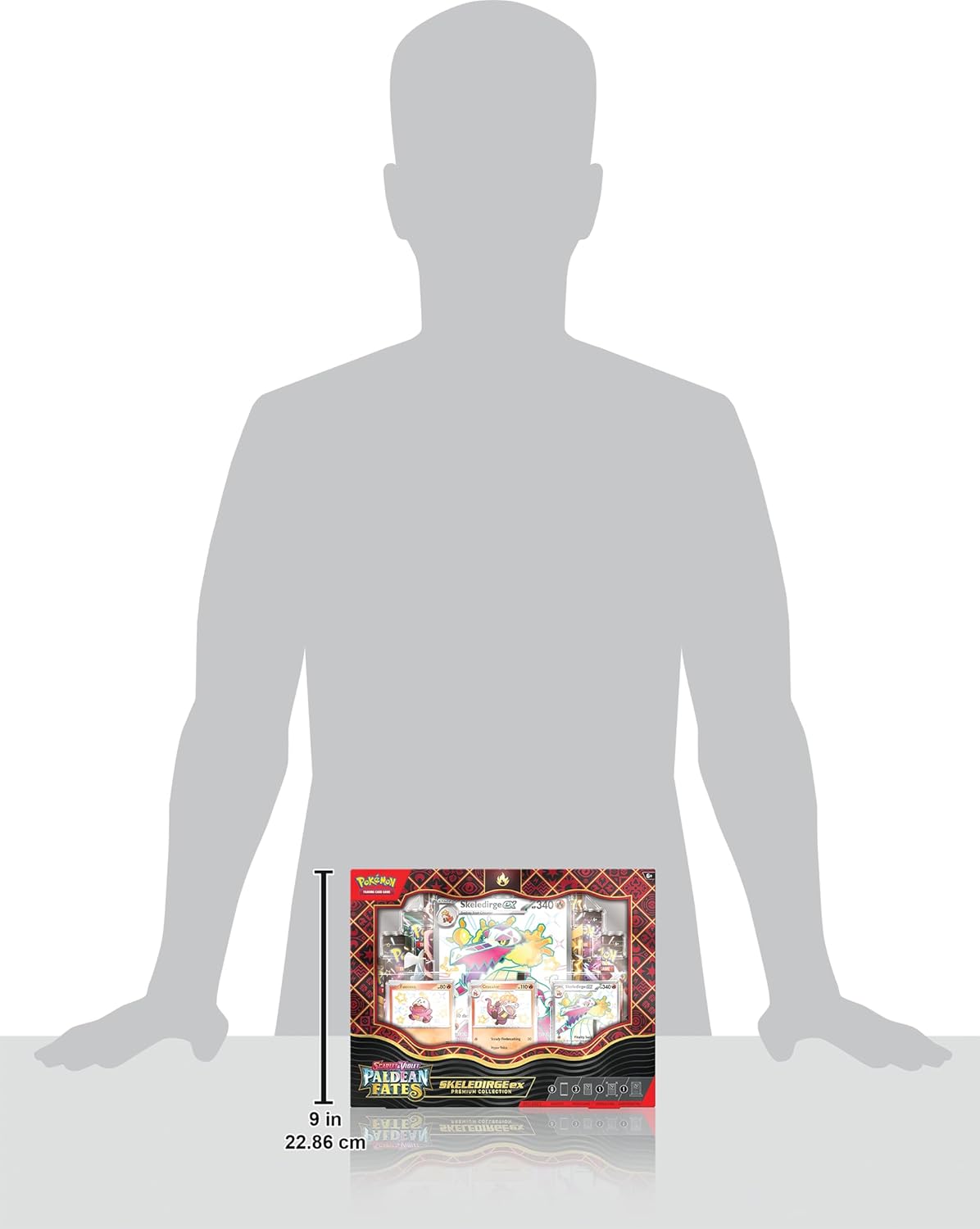 Pokémon TCG Premium Collection W269