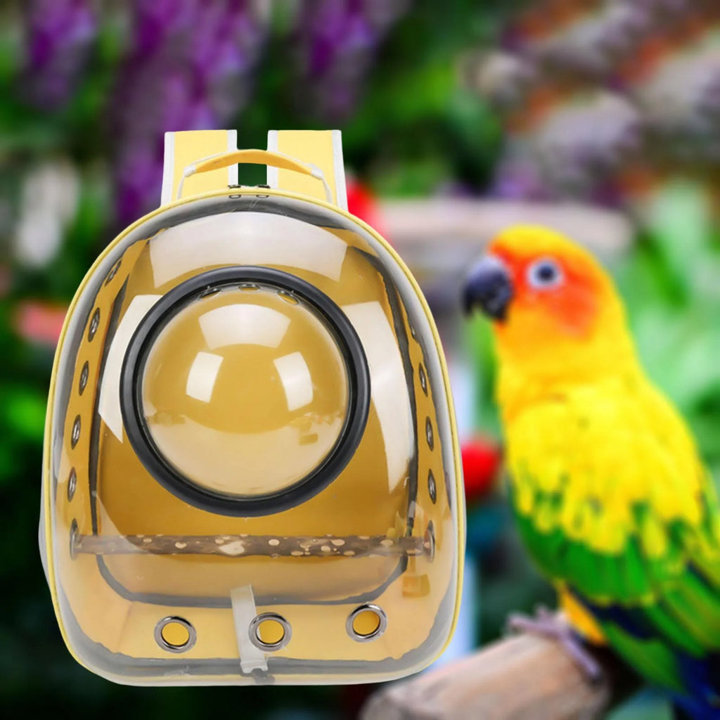 Green Yellow Transparent Bird Carrier with Perch P591439