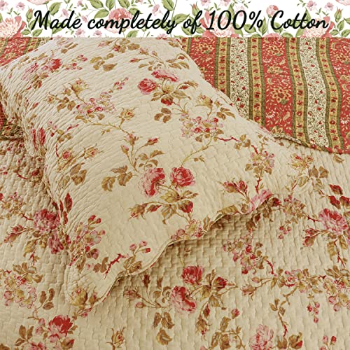 Vintage Floral Rose Chintz 3-Piece Khaki Pink Green Scalloped Cotton Reversable Queen Quilt Bedding Set D252