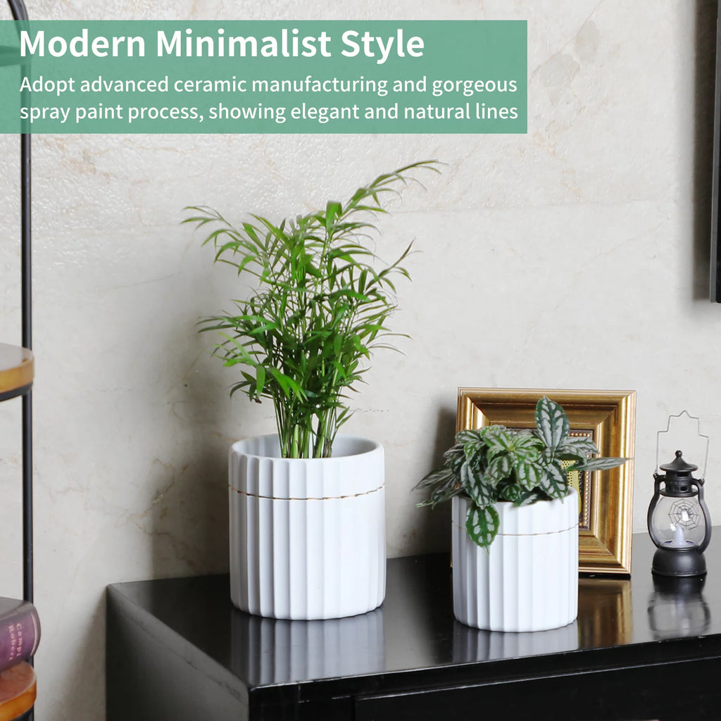 2 Pack White Ceramic Plant Pots with Drainage Hole T408