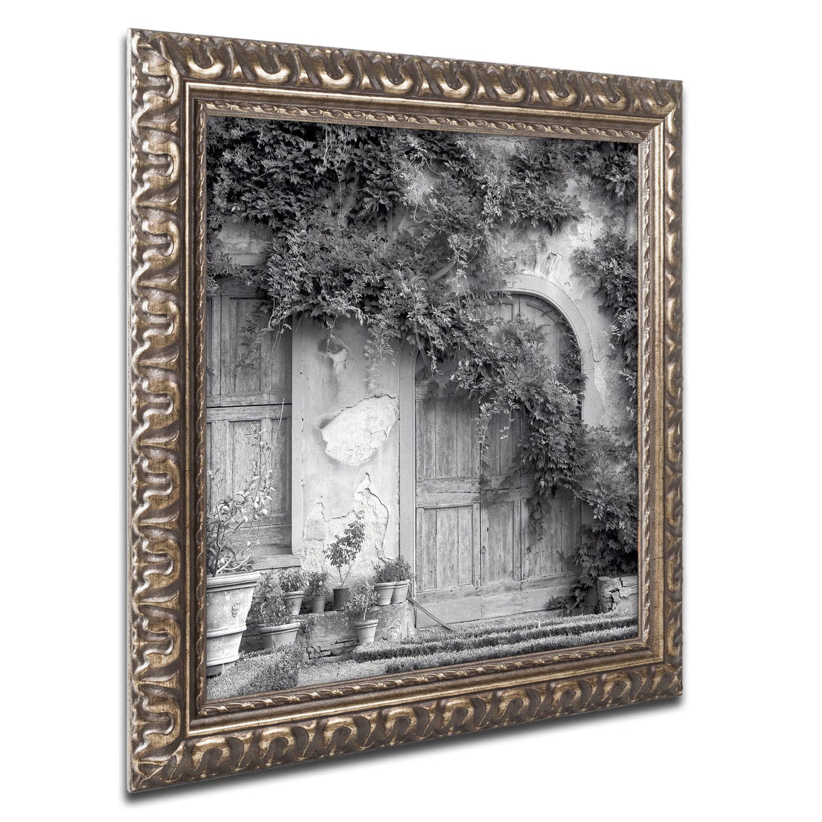 Framed Art E68281
