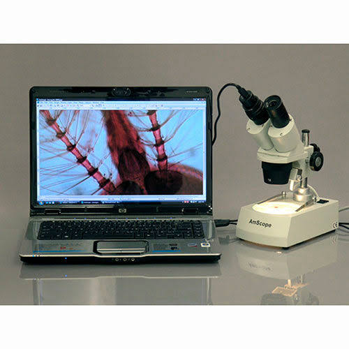 Binocular Stereo Microscope, 10X-80X U2040