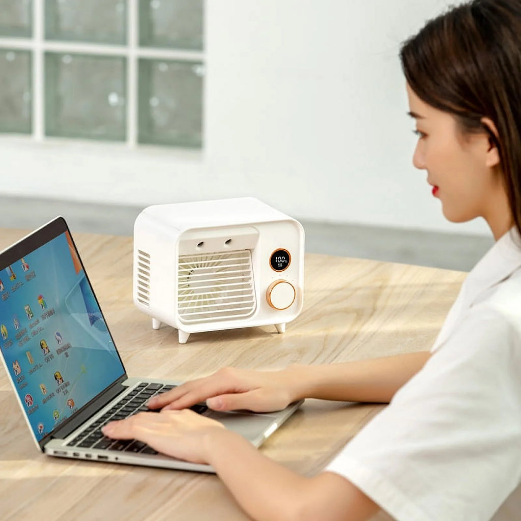 Mini Air Cooler with Adjustable Desktop Fan and USB Port M89698