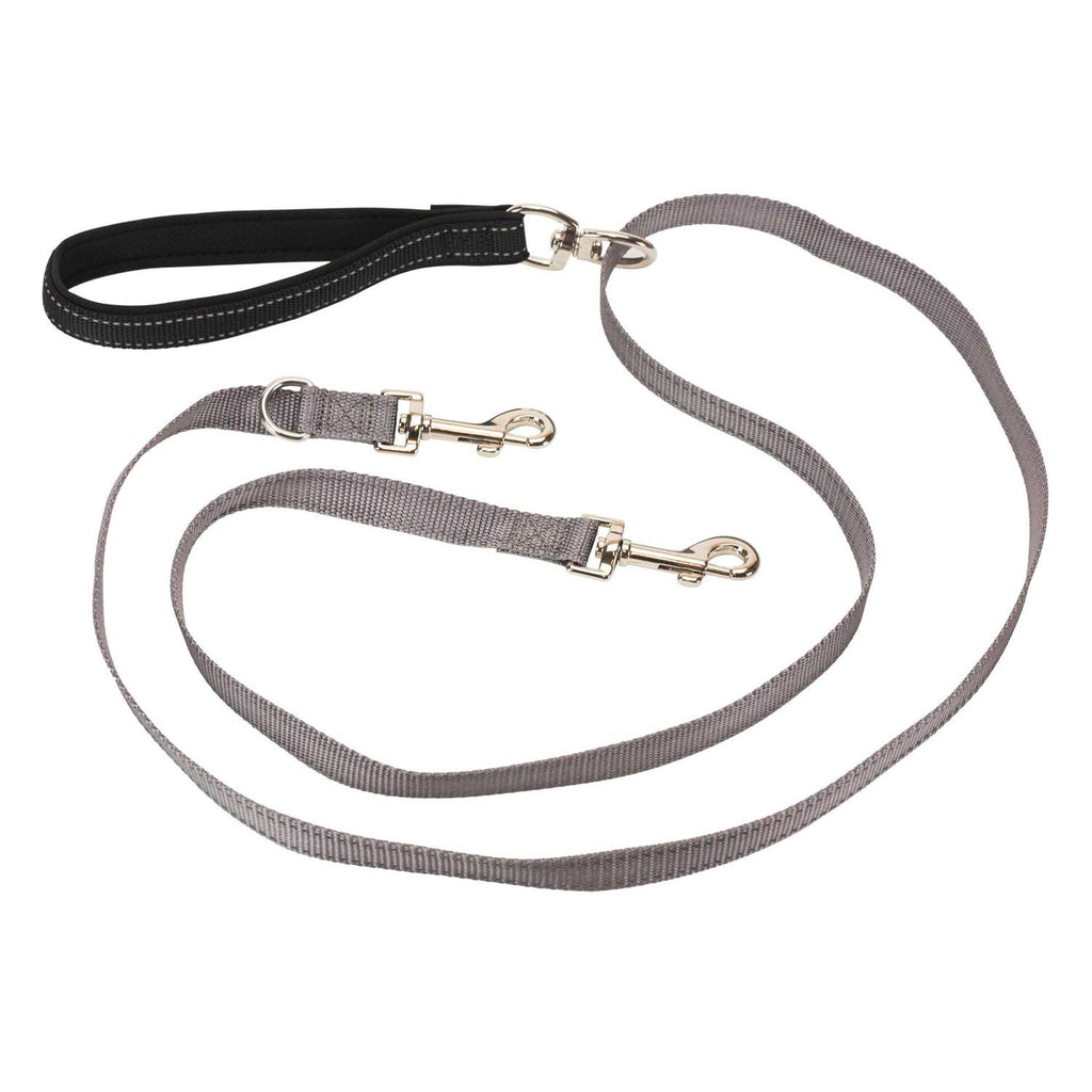Two Point Control Dog Leash U7985