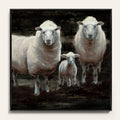Framed Canvas 24x22 Y197