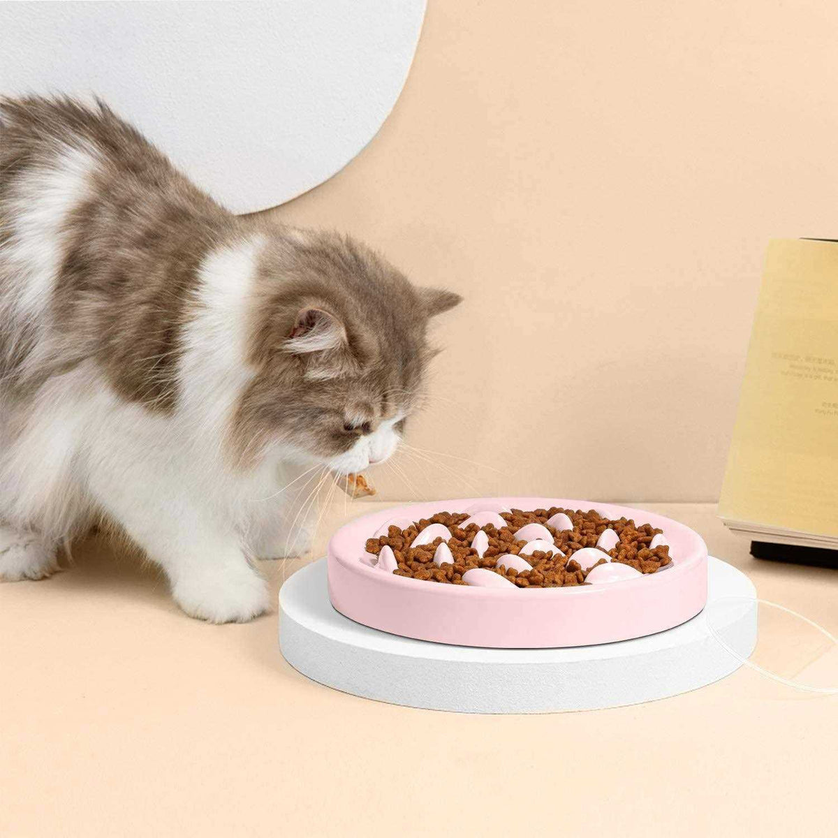 Slow Feeder Bowl for Cats and Small Dogs B9814
