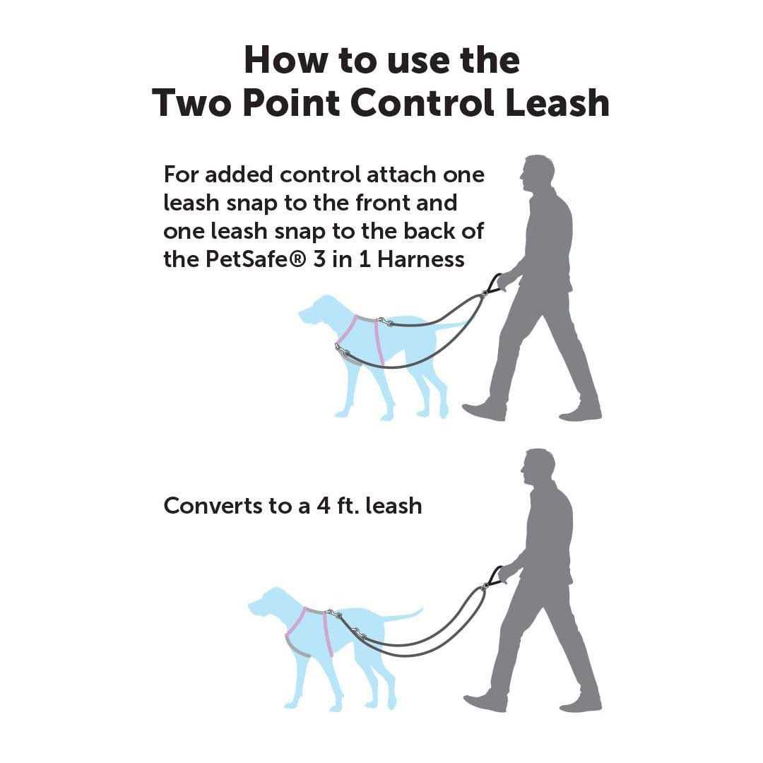 Two Point Control Dog Leash U7985