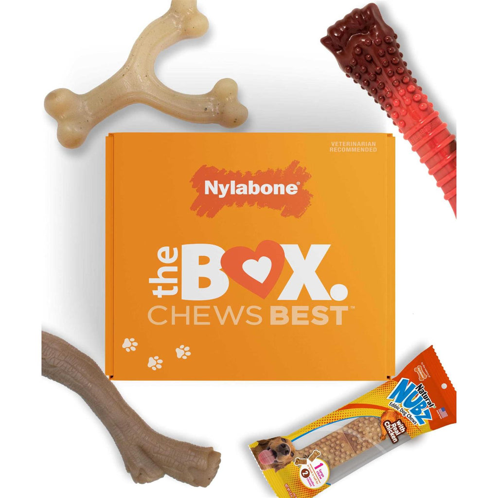 Chew Toy & Treat Gift Box O265