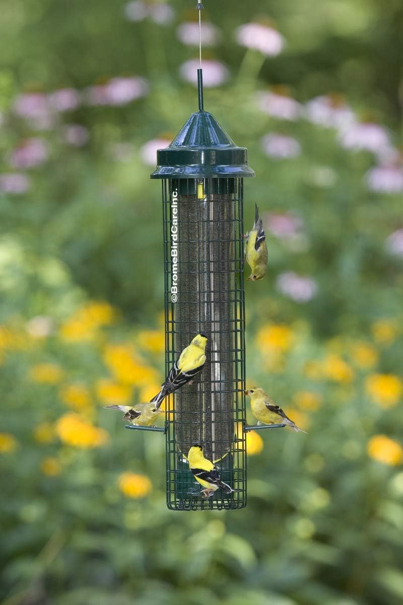 Squirrel-proof Finch Bird Feeder with 4 Metal Perches & 8 Feeding Ports, 2.4-pound Thistle Seed Capacity, Pack of 2 I4887