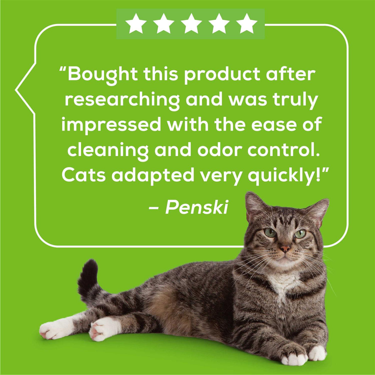 Cat Pads & Litter Pellets Bundle Pack T6583