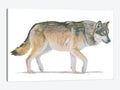 Northern Wild II Print Canvas Art W451783