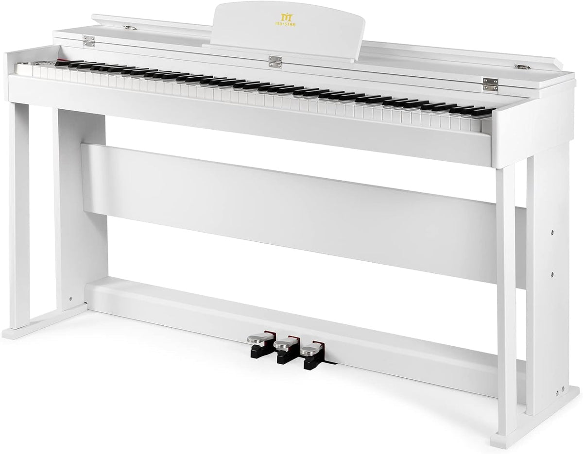 Black 88 Key Weighted Hammer Action Digital Piano with Dual Stereo Speakers, 3 Pedals, Furniture Stand G528