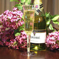 Plastic Wine Champagne Flutes Disposable Glasses W82208