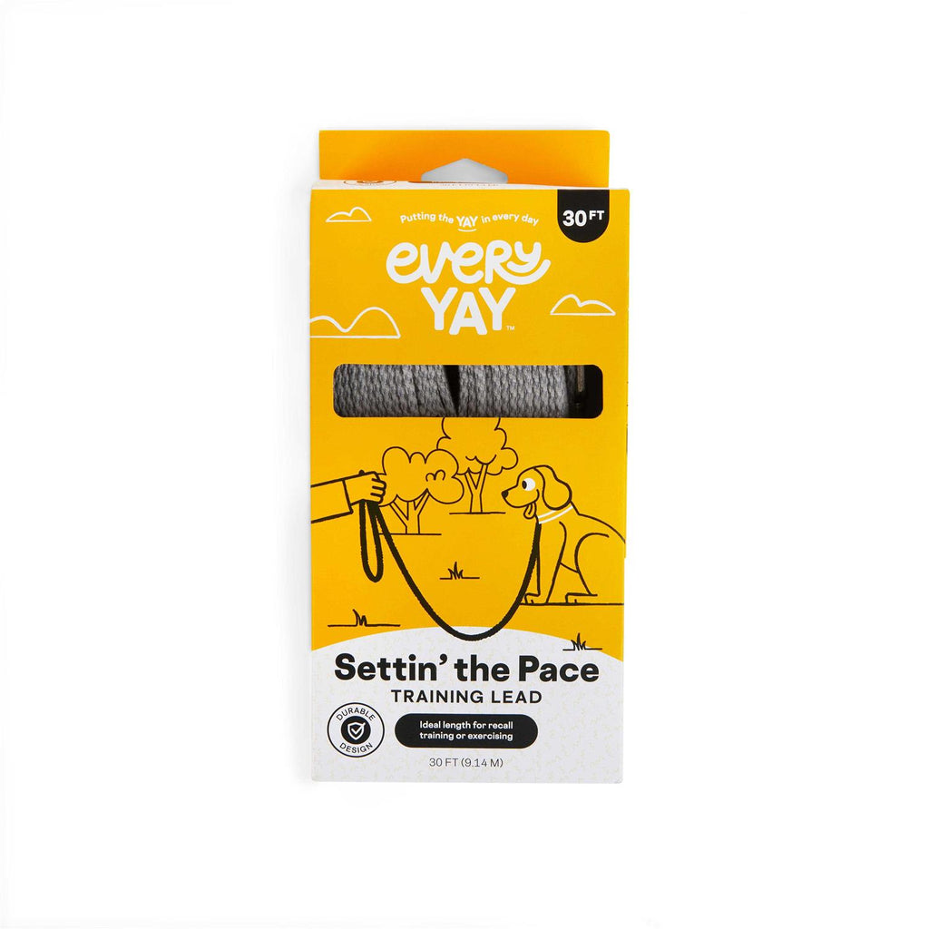 Adjustable Recall Training Dog Lead K376