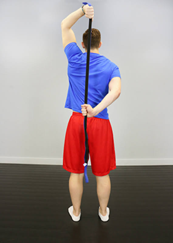 Dynamic Stretch Strap, 25 Each B6238