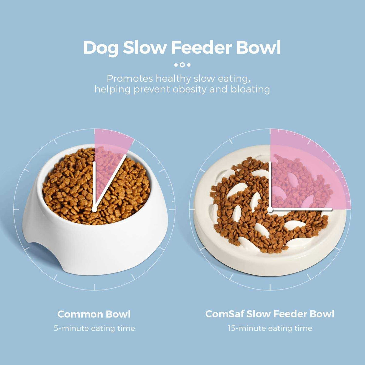 Slow Feeder Bowl for Cats and Small Dogs B9814