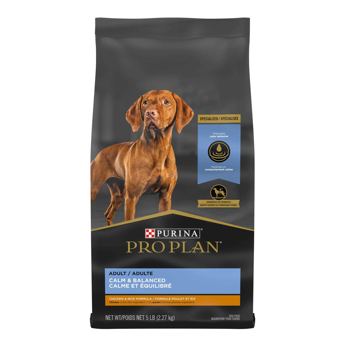 Chicken & Rice Formula Dry Dog Food W610239