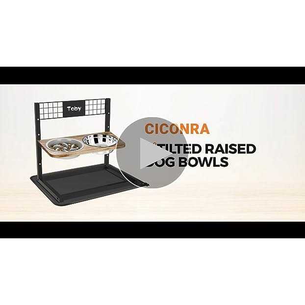 Metal Elevated Dog Bowls with Slow Feeder and Spillproof Mat P277