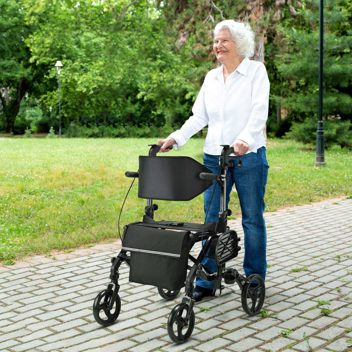 2 in 1 Rollator Walker Transport Wheelchair with Backrest Footrests Foldable Black M203