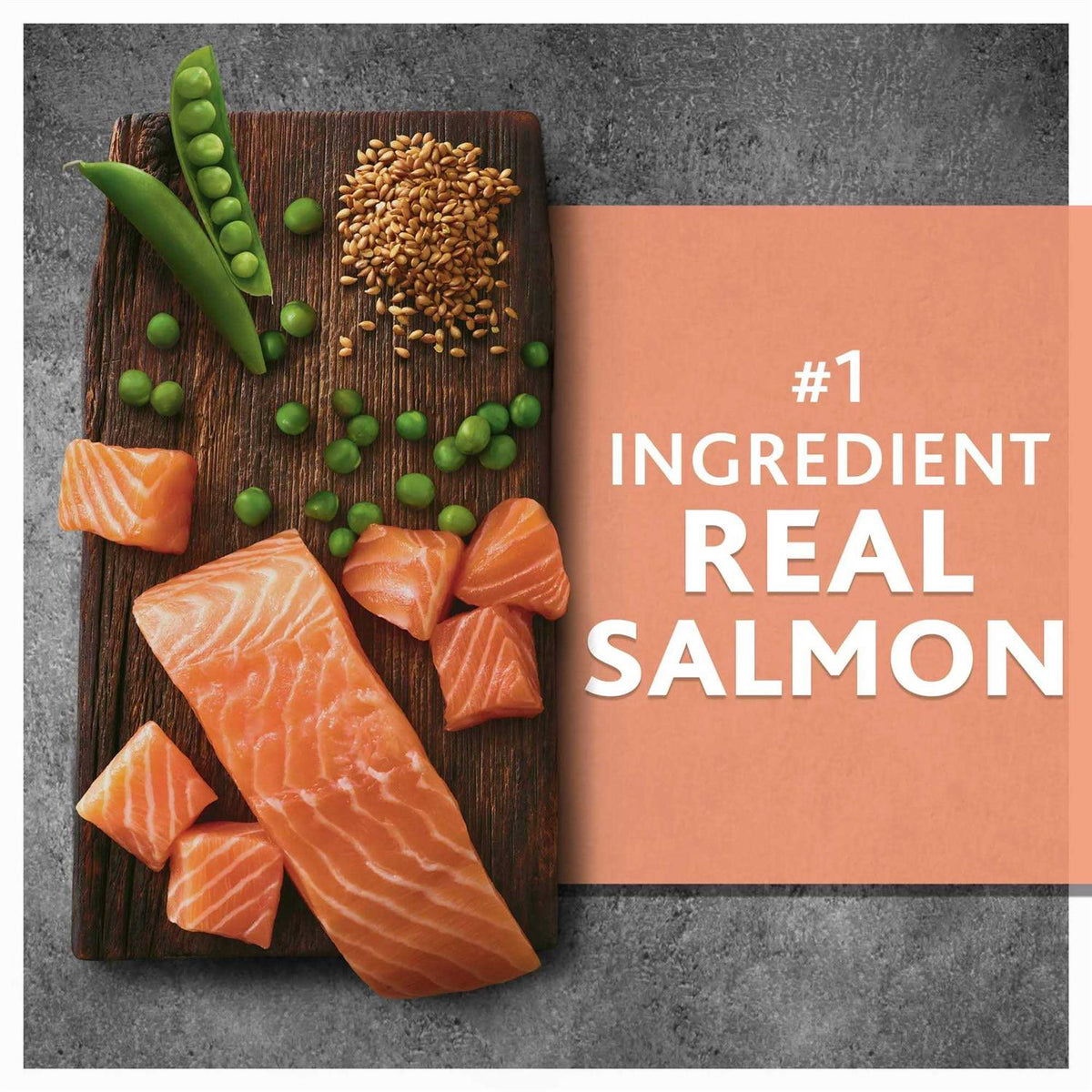 Salmon & Pea Recipe Dry Dog Food C462