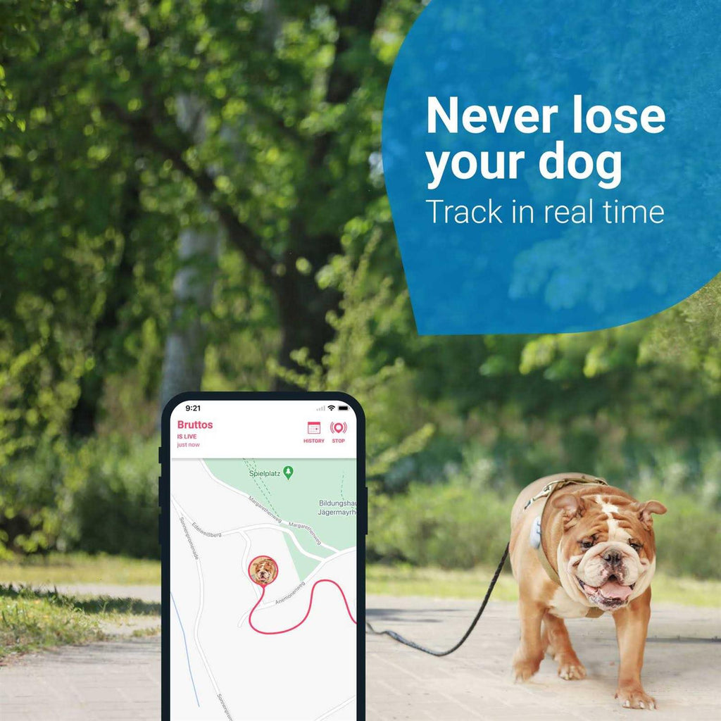 GPS Tracker for Dogs L4609