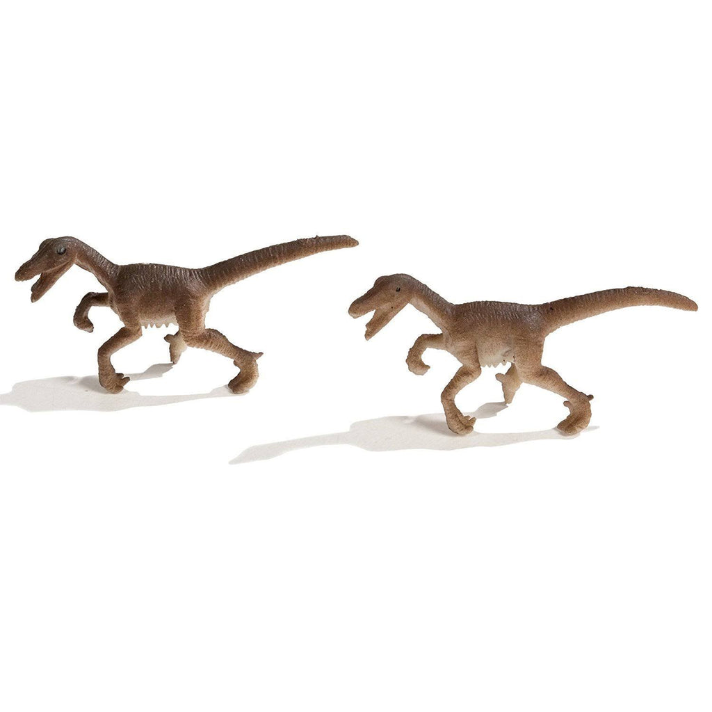 Raptors R159369