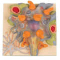 Neuron Cell Body Model S379409