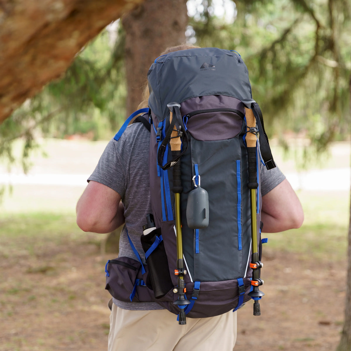 65 Liter Gray Backpacking Backpack O103