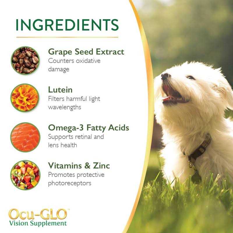 Vision Supplement for Small Dogs X82273