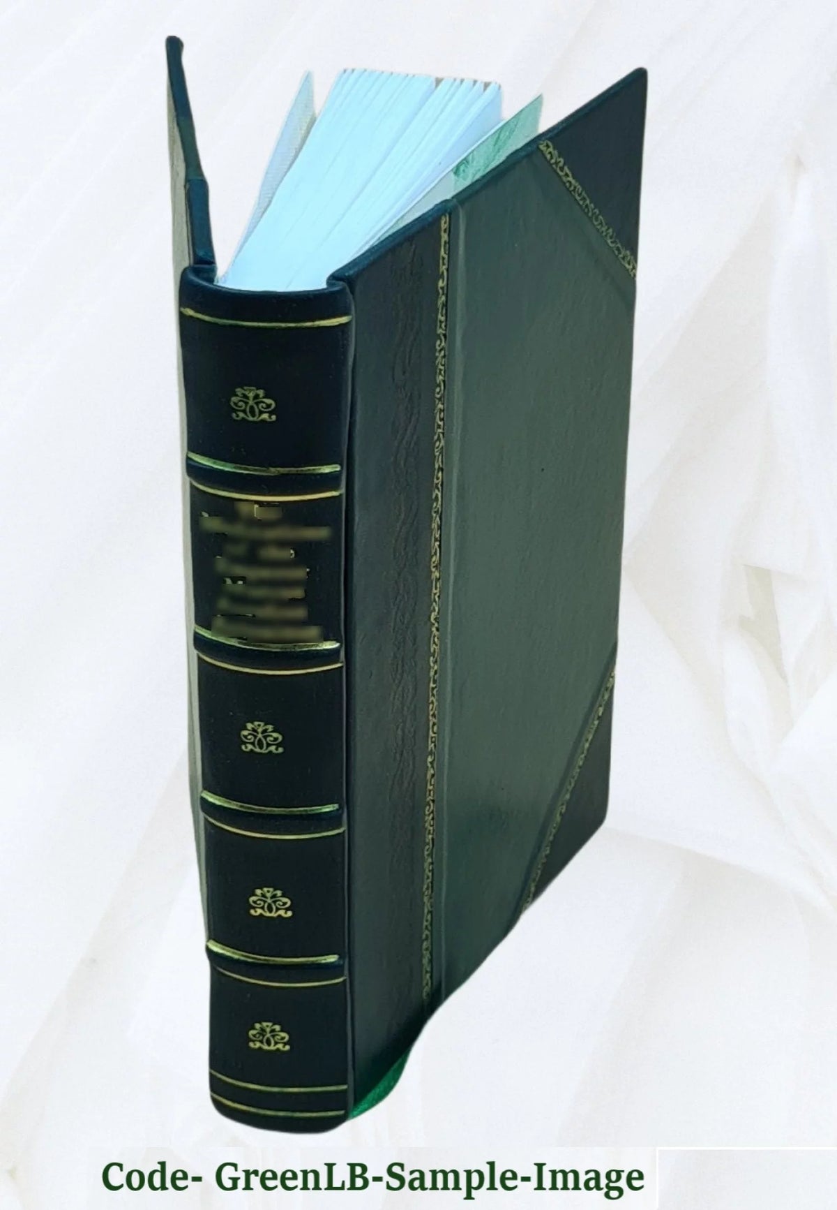 Leather Bound Book F322749