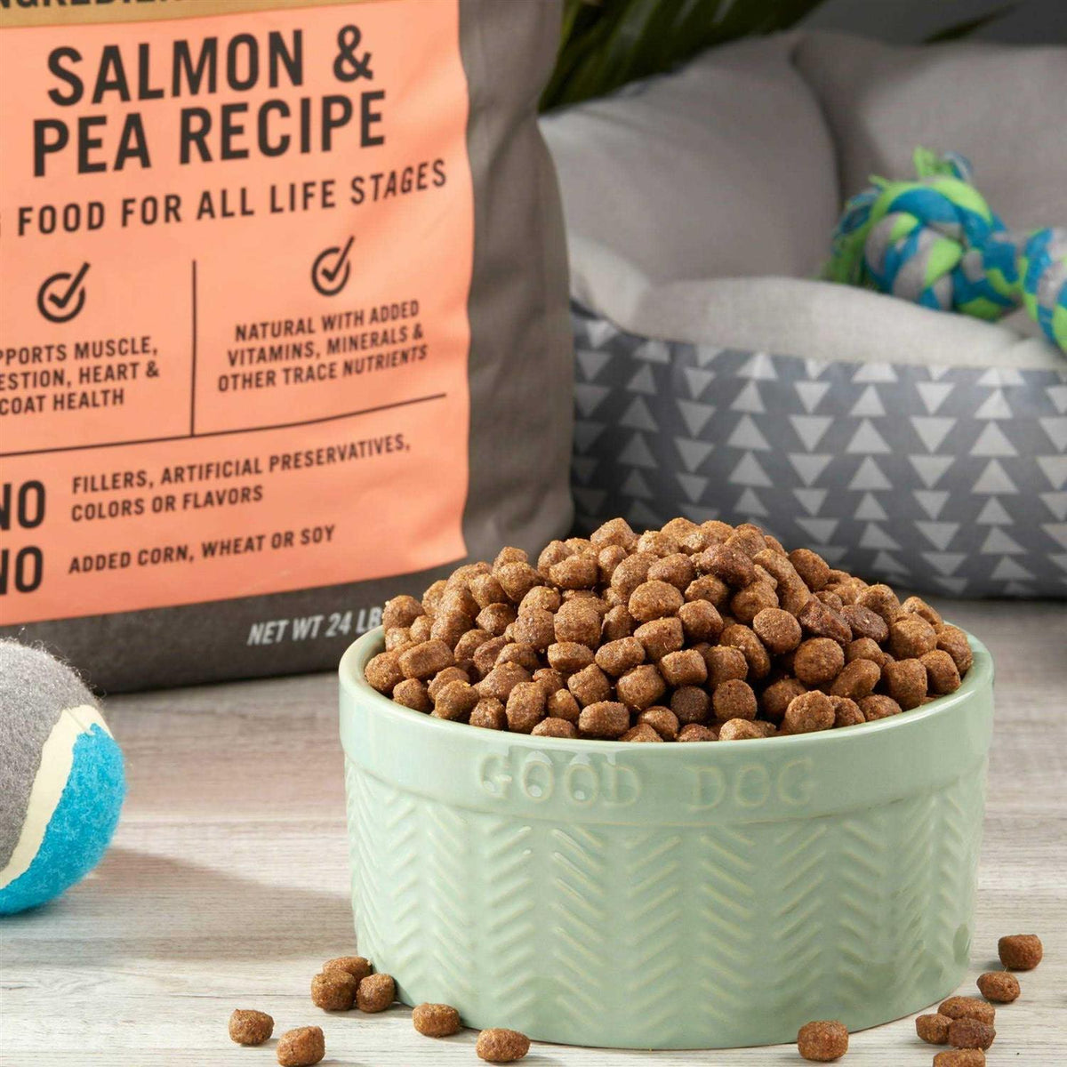 Salmon & Pea Recipe Dry Dog Food C462