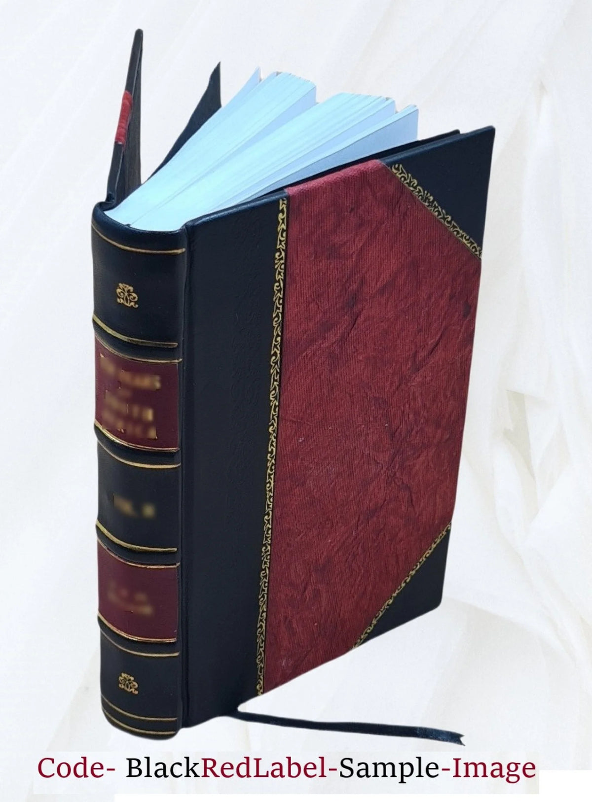 Leather Bound Book R309674